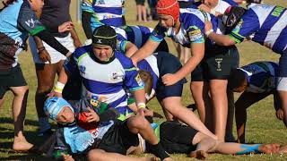 U 12 Quins VS Bulldogs [upl. by Junie306]