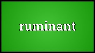 Ruminant Meaning [upl. by Pronty241]