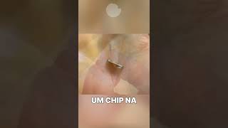 CHIP NA MÃO É SINISTRO interessante curiosidade curiosidades [upl. by Woodall90]