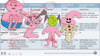 Traumatología Pediátrica Repaso rápido ENARMMIR [upl. by Krm127]