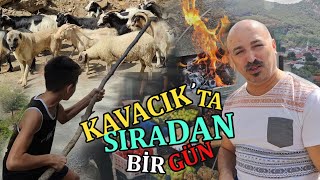 Kavacık Köyünde Sıradan Bir Gün [upl. by Syst]