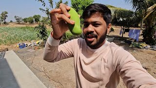 Finally Ek Kaccha Mango Mil Gaya 🫠🥭 [upl. by Bev]