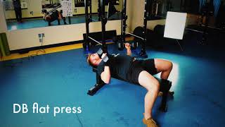 Flat dumbbell press demo [upl. by Krissie3]