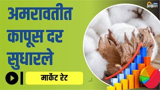 आजचे Kapus Bajar Bhav काय सांगतात  Kapus Bajar Bhav  ॲग्रोवन [upl. by Noram83]