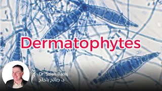 4 Dermatophytes [upl. by Festus]