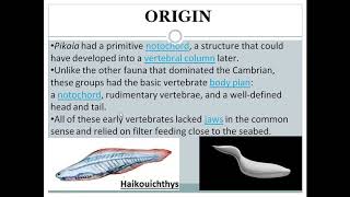 Ostracoderms  origin amp features [upl. by Shelden]