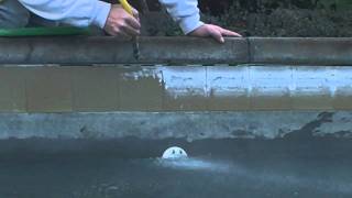 Pool Tile Cleaning Medford 1 5418905702 [upl. by Denis]