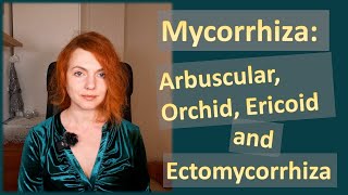 Mycorrhiza Arbuscular Orchid Ericoid and Ectomycorrhiza Characteristics and Features [upl. by Cogn]