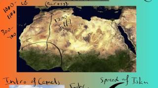 West Africa Trans Saharan Trade [upl. by Formica]