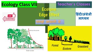 Ecotone and Edge effect in Hindi Ecology Class 7 BSc 3rd year CSIR NET SETRPSC College Lecturer [upl. by Jemina]