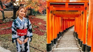 Kyoto Kimono amp Fushimi Inari Shrine  Japan Delights 5 [upl. by Gnilsia]