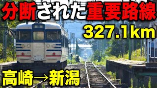 【過酷】かつての大幹線quot信越本線quotを廃止区間も含め乗り通してみた！ [upl. by Eleazar]