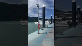 Airlie beach welcome cruise tender travel [upl. by Lenoyl]