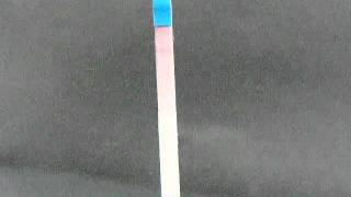 One Step Pregnancy Dipstick Test [upl. by Noraa]