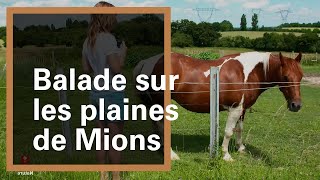 Balade sur les plaines à Mions  Grand Lyon Nature [upl. by Delgado]