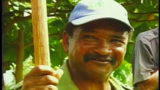 DOCUMENTAL COCODRILO [upl. by Eberhard]