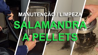 MANUTENÇÃO  LIMPEZA DE SALAMANDRA A PELLETS  2022 [upl. by Elin834]