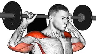 The Best Shoulder Exercises BarbellDumbbell Only [upl. by Alyworth]