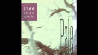 Toad The Wet Sprocket  Jam [upl. by Ranger]