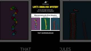 The greatest unsolved mystery in biology [upl. by Harte]