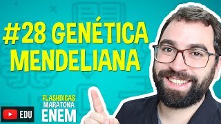 Genética Mendeliana  Flashdica 28  Maratona Enem  Prof Gui [upl. by Hauhsoj]