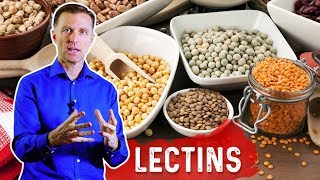 Reduce Lectins for Autoimmune Conditions – Immune System amp Foods High In Lectins – DrBerg [upl. by Htidra124]