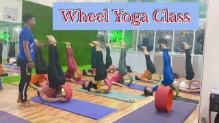 Wheel yoga sequence  full wheel yoga class  Basic class [upl. by Quillon]