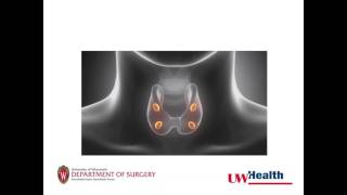 At the Forefront of Parathyroid Disease Differences in Diagnosis [upl. by Iman]