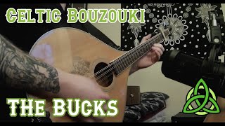 Irish Trad Bouzouki and Celtic Guitar  The Bucks of Oranmore [upl. by Yhtomiht]