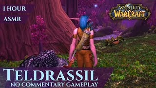 Vanilla Teldrassil  Gameplay No Commentary  Part 3 ASMR 1 hour 4K World of Warcraft Classic [upl. by Pamela820]