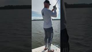 Jeff catches a Redfish on the Skidaway River [upl. by Hans764]