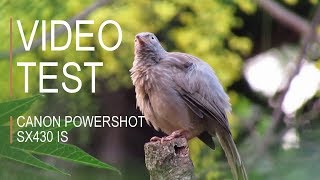 CANON POWERSHOT SX430 IS  VIDEO TEST  720p [upl. by Zebulon167]