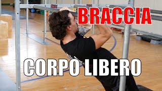 Allenamento per le BRACCIA a CORPO LIBERO [upl. by Sonafets]