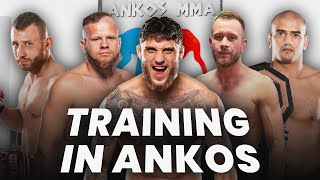 What is the training like at ANKOS MMA [upl. by Wylma631]