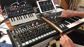 How To Sync The Arturia DrumBrute  MicroFreak amp MiniBrute 2  Tutorial amp Demo [upl. by Amej]