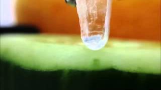 hygroscopic salt demonstration [upl. by Karab79]