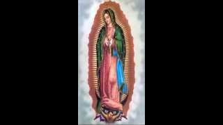 Te amare toda la vidaVirgin de GuadalupeJavier Solis [upl. by Ulberto]