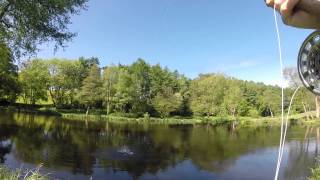 Fly Fishing at Albury GoPro 3 [upl. by Hendel]