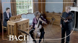 Bach  Komm süsser Tod komm selge Ruh BWV 478  Daniels  Netherlands Bach Society [upl. by Senhauser]