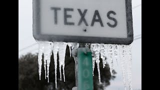 PLANTAS QUE SOPORTARON LA HELADA EN TEXAS [upl. by Joane]