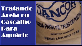 MONTANDO UM NOVO AQUÁRIO COM PLANTAS quotLOW TECHquot PARA PEIXES AMAZÔNICOS [upl. by Fatsug844]