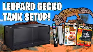 Leopard Gecko Setup for beginners [upl. by Friedberg]