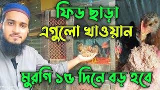 ফিড ছাড়া এগুলো খাওয়ান বাচ্চা দ্রুত বড় হবে🔥 Desi Murgi Palan  মুরগি পালন  দেশি মুরগি পালন পদ্ধতি [upl. by Babbette]