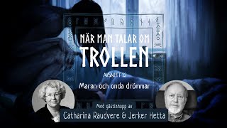 Avsnitt 12 Maran och onda drömmar  När man talar om trollen [upl. by Earazed43]