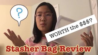 An Honest Review of the Stasher Bag [upl. by Eidderf]