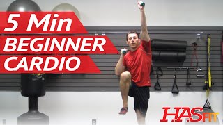 5 Minute Easy Workout  Low Impact Cardio Exercises for Beginners  Low Impact Cardio Workout [upl. by Kingsley]