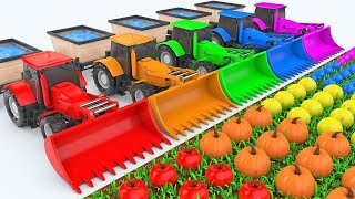 Farben für Kinder lernen mit Traktor Farm Vehicles  Farben Kuh Transporter truck für Kinder [upl. by Wolfie]