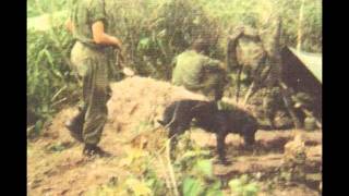 1 rar tracking team vietnamwmv [upl. by Ravo]