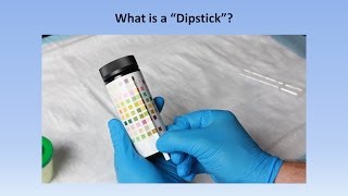 Interpretation of the Urinalysis Part 2  The Dipstick [upl. by Zetnas]