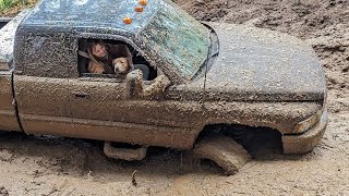 FAIL❌WIN🏆EXTREME OFF ROAD 4X4 BROOKEN CARS CRAZY DRIVERS COMPILATION REACTION best of week [upl. by Adnyleb]